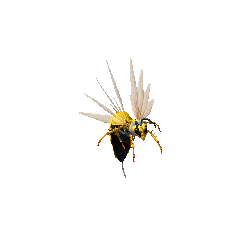 005 Abeja Reina 01